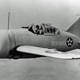 Brewster F2A-1 Buffalo of the US Navy in 1941 (US Navy)